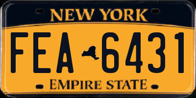 NY license plate FEA6431