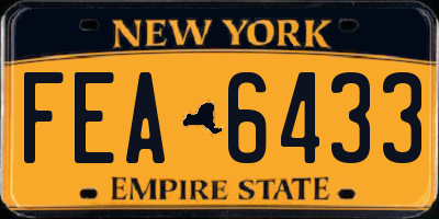 NY license plate FEA6433