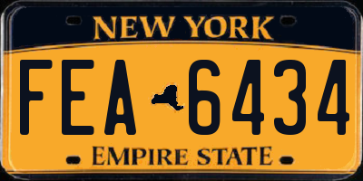 NY license plate FEA6434