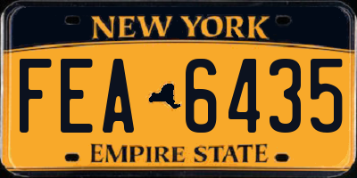 NY license plate FEA6435