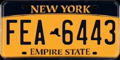 NY license plate FEA6443