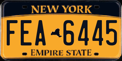 NY license plate FEA6445