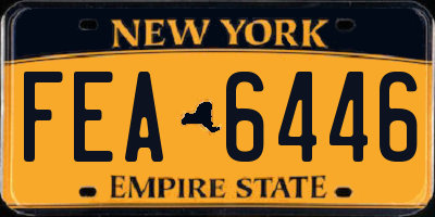 NY license plate FEA6446
