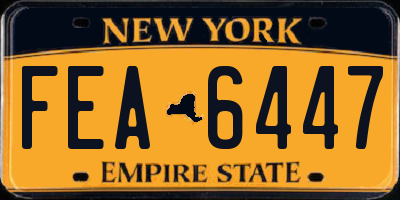 NY license plate FEA6447