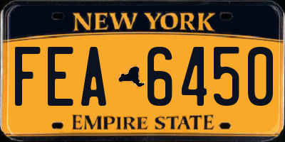 NY license plate FEA6450