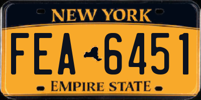 NY license plate FEA6451