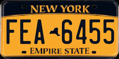 NY license plate FEA6455