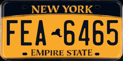 NY license plate FEA6465