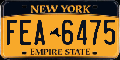 NY license plate FEA6475