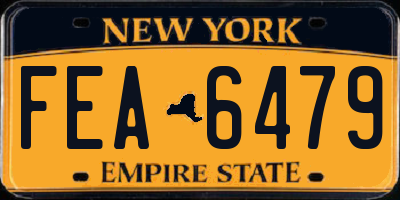 NY license plate FEA6479