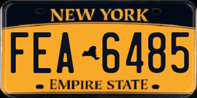 NY license plate FEA6485
