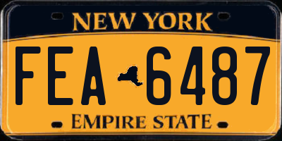 NY license plate FEA6487