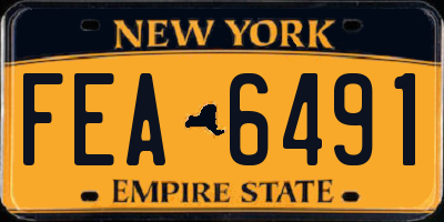 NY license plate FEA6491