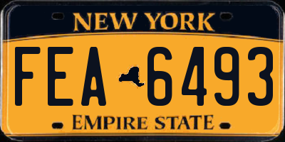 NY license plate FEA6493