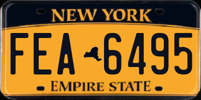 NY license plate FEA6495