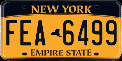 NY license plate FEA6499