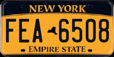 NY license plate FEA6508