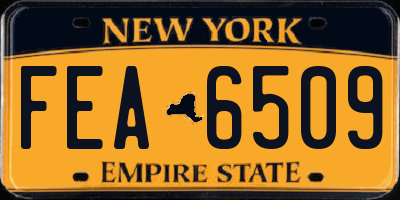 NY license plate FEA6509