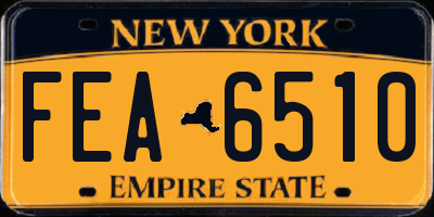 NY license plate FEA6510