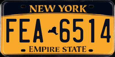 NY license plate FEA6514