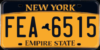 NY license plate FEA6515