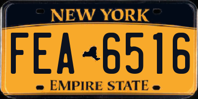 NY license plate FEA6516