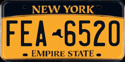 NY license plate FEA6520