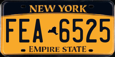 NY license plate FEA6525