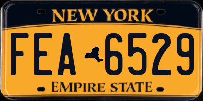 NY license plate FEA6529
