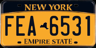 NY license plate FEA6531