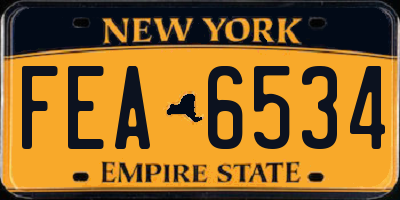 NY license plate FEA6534