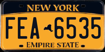 NY license plate FEA6535