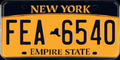 NY license plate FEA6540