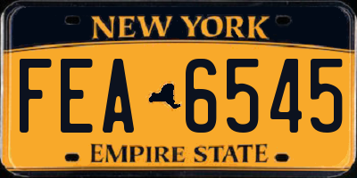 NY license plate FEA6545