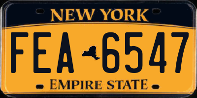 NY license plate FEA6547