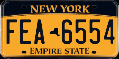 NY license plate FEA6554
