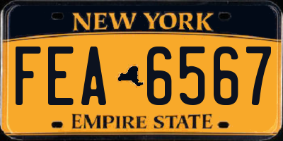 NY license plate FEA6567