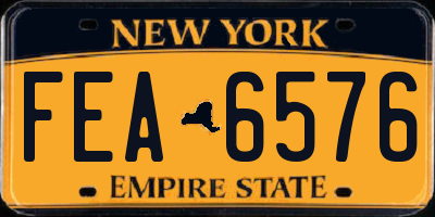 NY license plate FEA6576