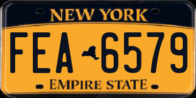 NY license plate FEA6579