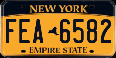 NY license plate FEA6582