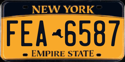 NY license plate FEA6587