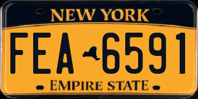 NY license plate FEA6591