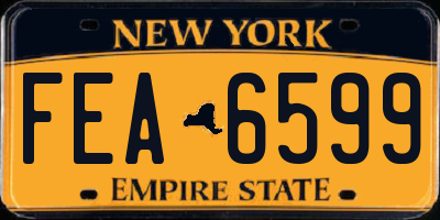 NY license plate FEA6599