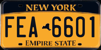 NY license plate FEA6601