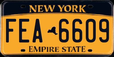 NY license plate FEA6609