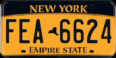 NY license plate FEA6624