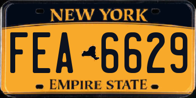 NY license plate FEA6629