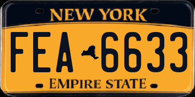 NY license plate FEA6633