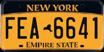 NY license plate FEA6641