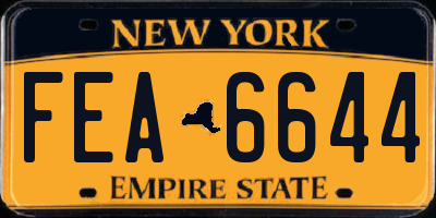 NY license plate FEA6644
